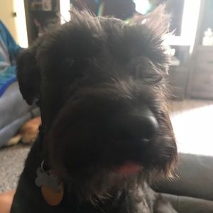 Meet your Posher, Rita